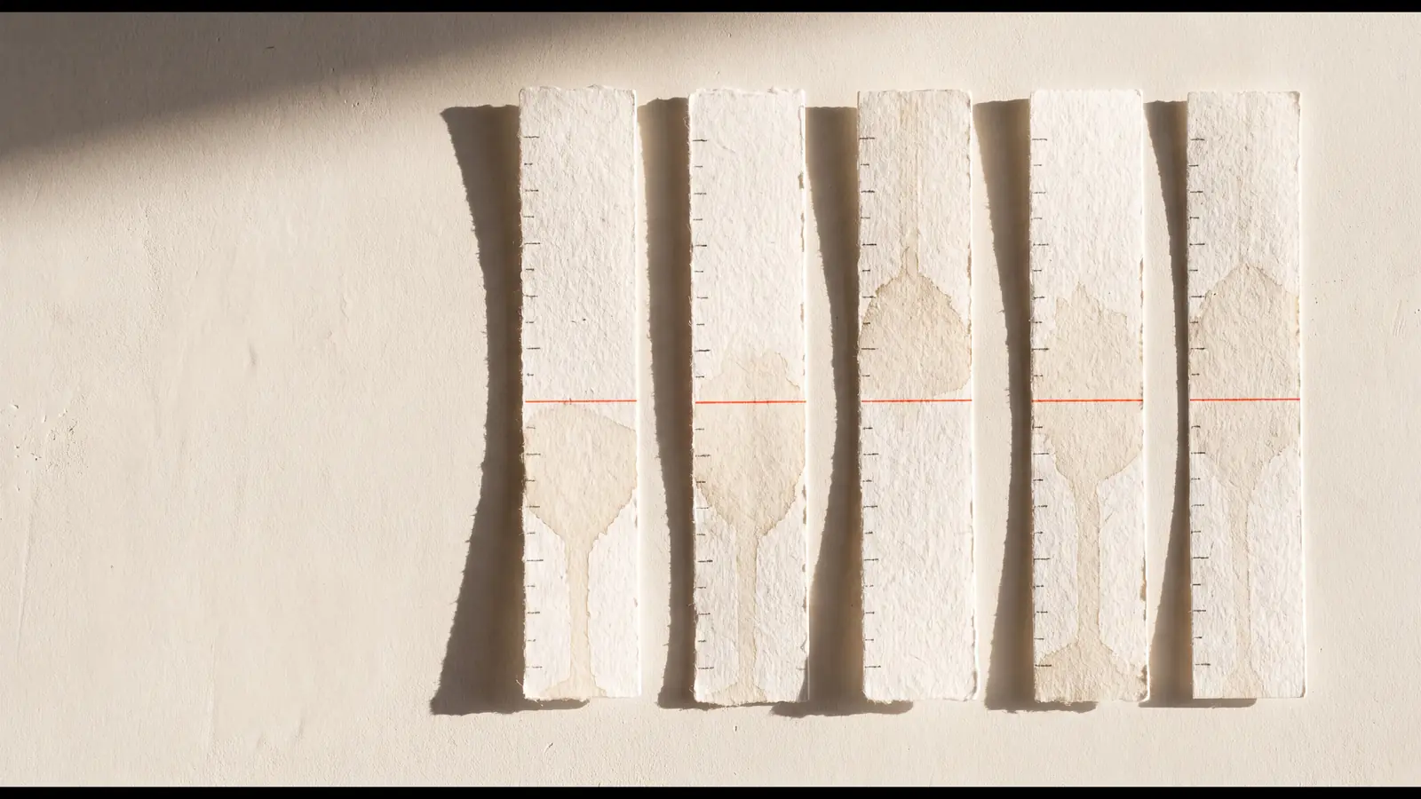 Five paper scent strips laid side by side on plaster, each dipped and stained to a different height, with one red rule ruled straight across all five and small hour marks down each edge